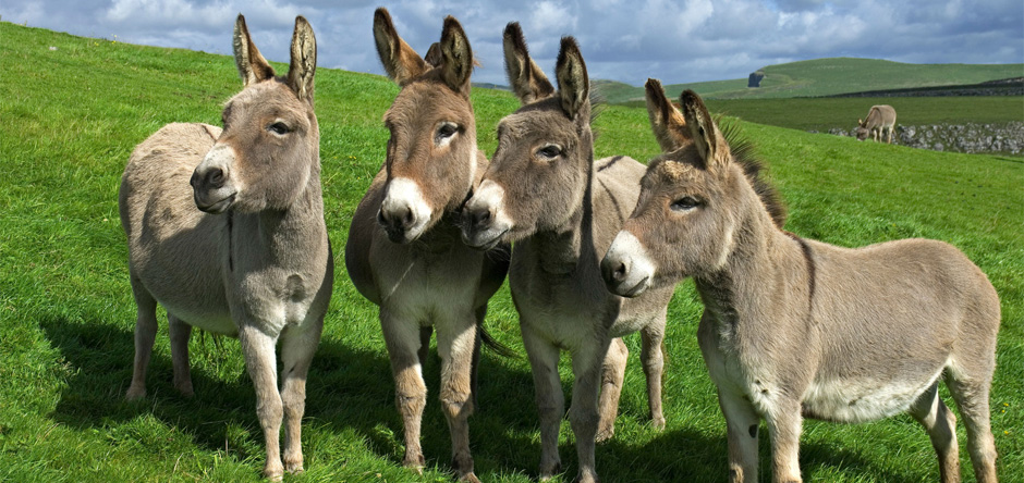 hotel boutique marrakech